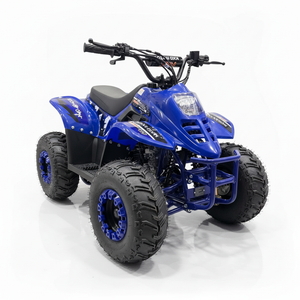 ATV Kinderquad Evolution 125cc Blau