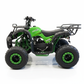 ATV Kinderquad Extreme Max 125cc Grün