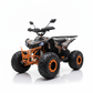 CarKiddo | Elektrisches Kinderquad 1500W - Rot