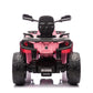 Can-Am | Elektrisches 2-Sitzer Kinderquad 24V - 4x4 -Rosa