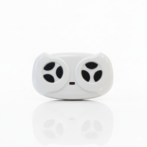 2,4 GHz ferngesteuertes Kinderauto V1